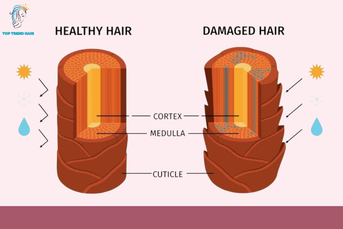 hair wholesale vendors