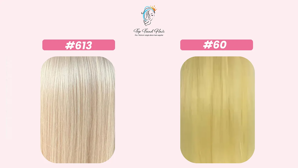 Festival Hair: Bold Colors To Wear