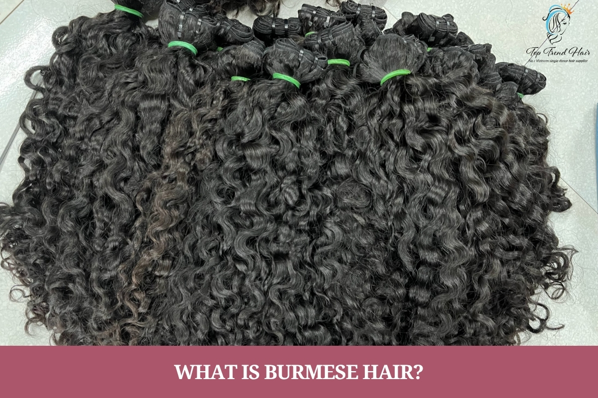 burmese curly hair