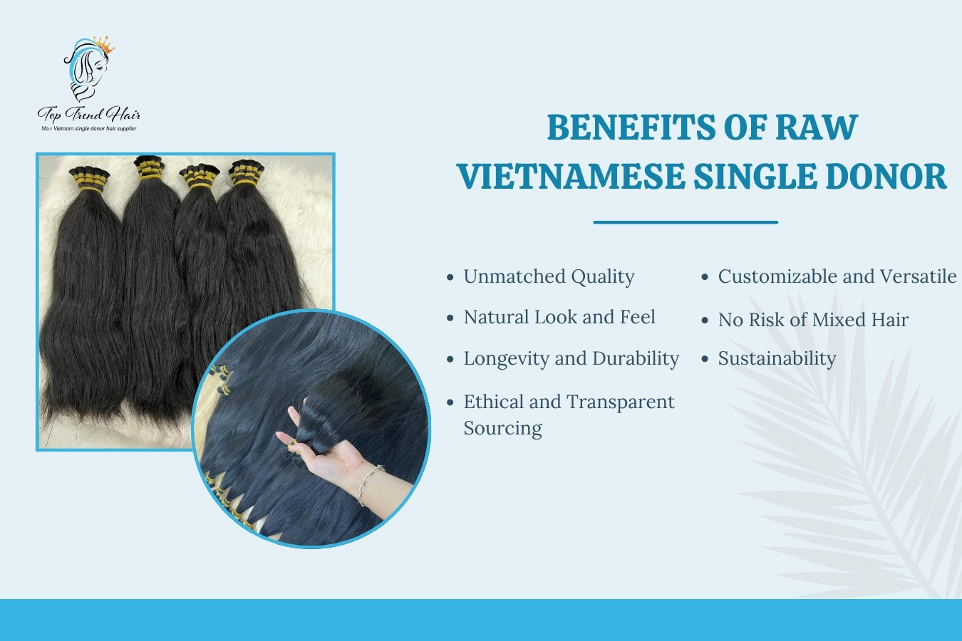 raw Vietnamese single donor hair