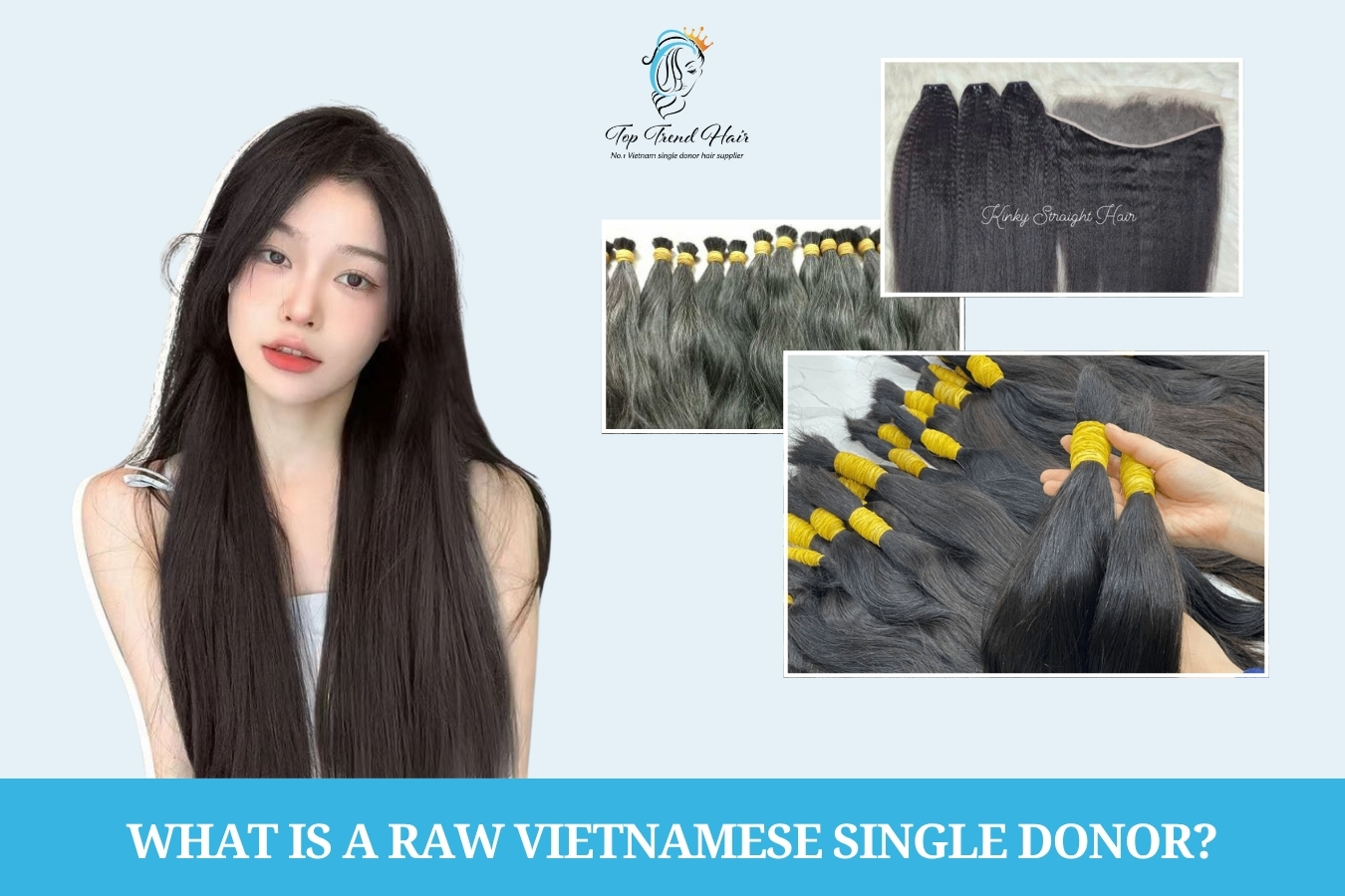 raw Vietnamese single donor hair