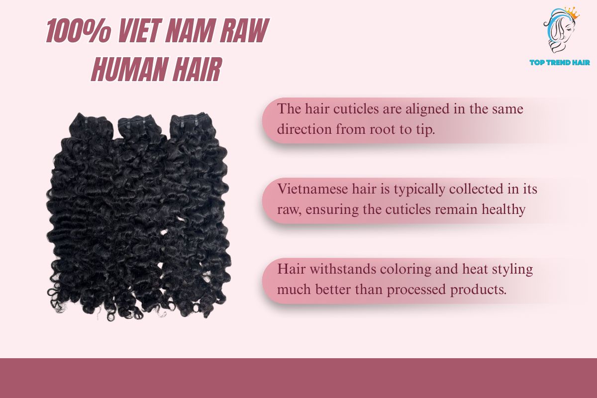 viet nam hair factory