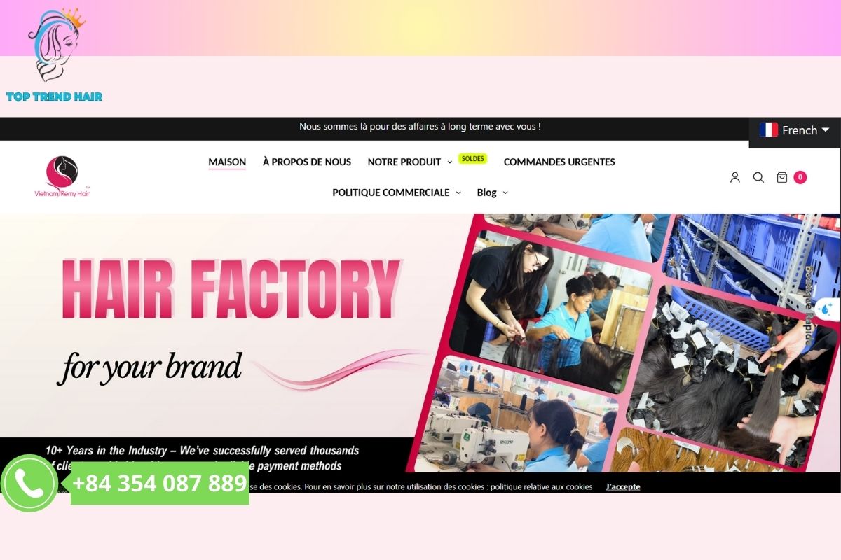 vietnam remy hair co ltd