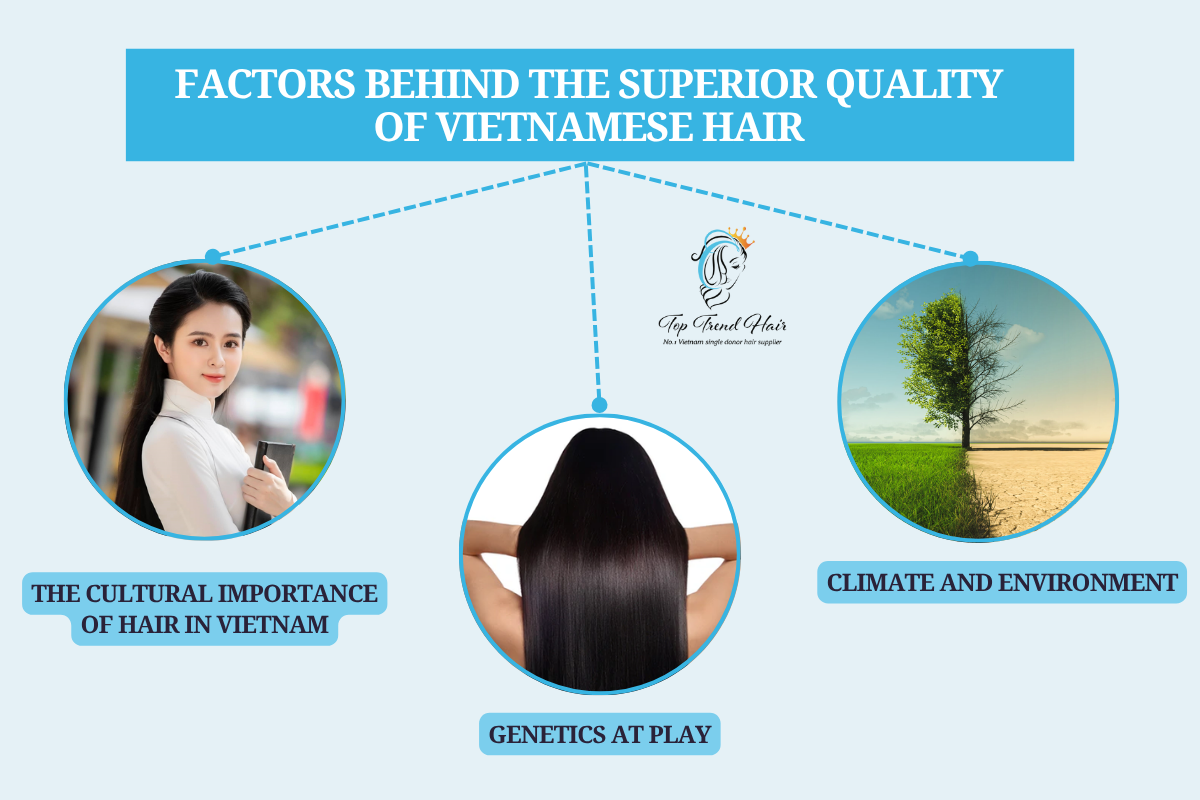 Vietnamese Hair in Asia 