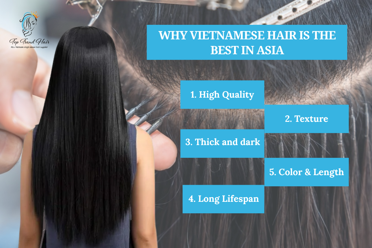 Vietnamese Hair in Asia 