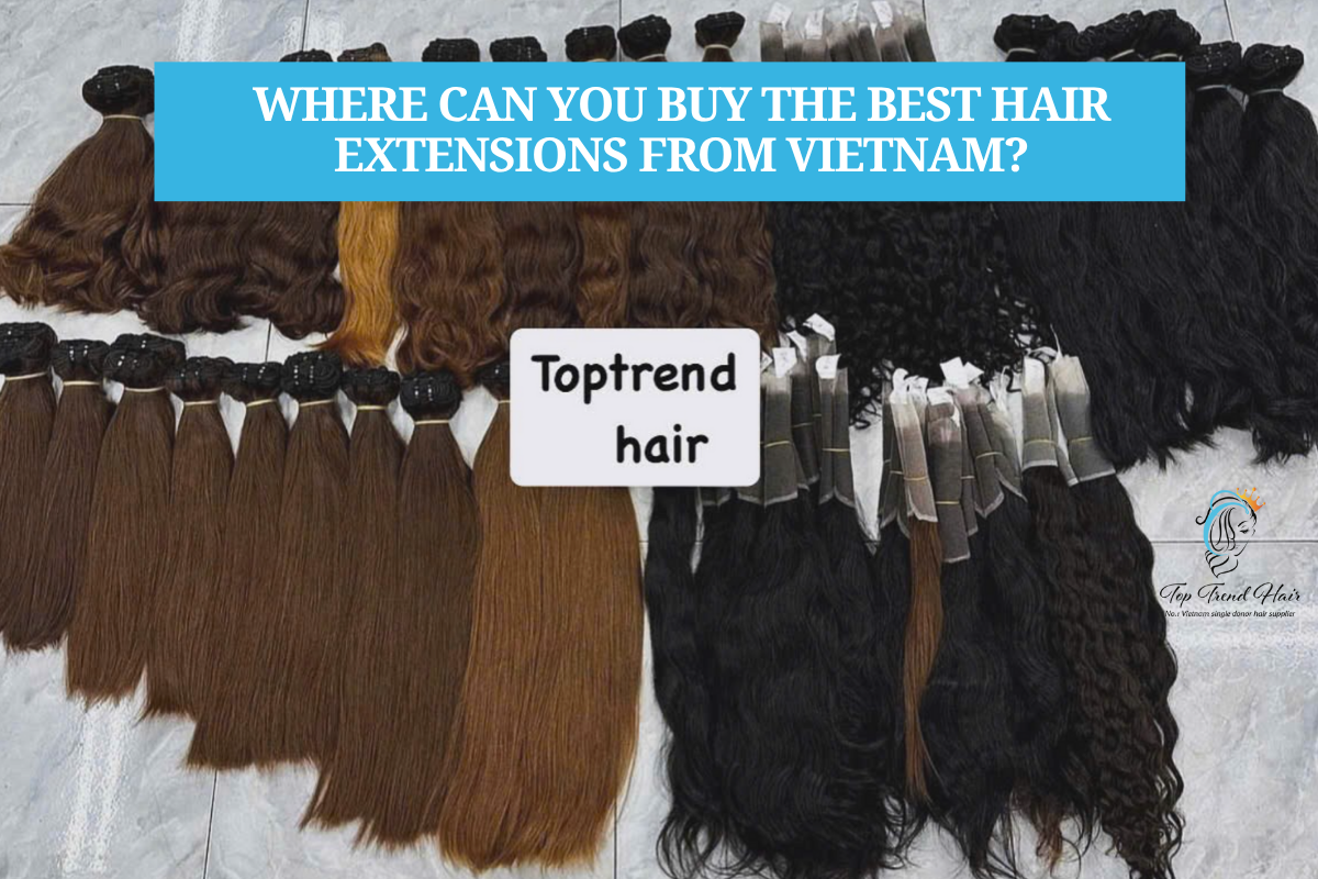 vietnamese hair chinese hair indian hair